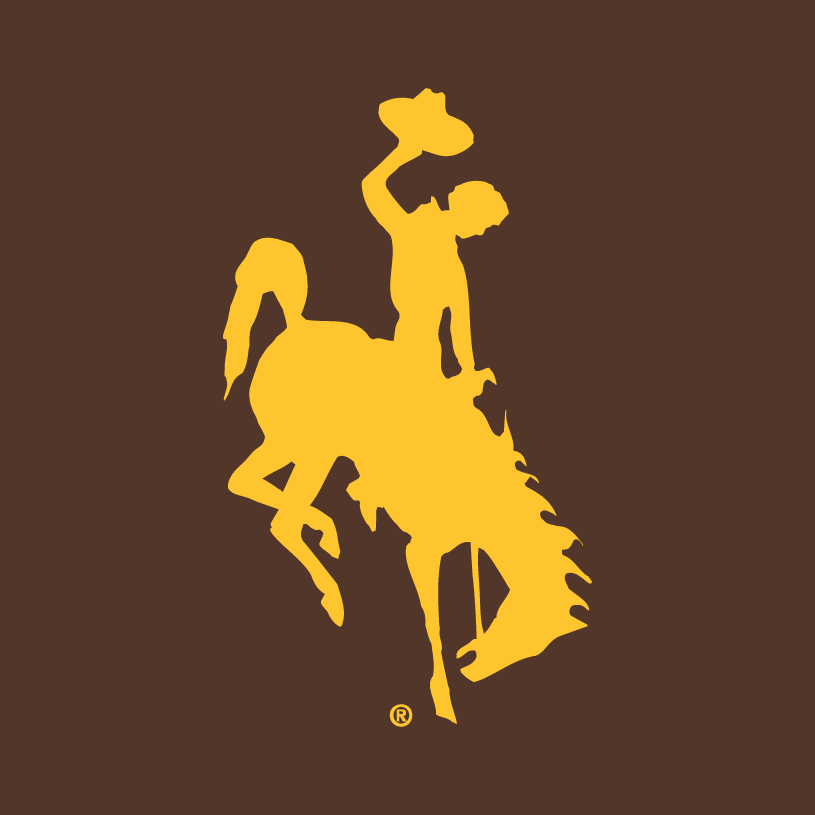 Wyoming Cowboys 2006-Pres Alternate Logo v2 iron on transfers for T-shirts